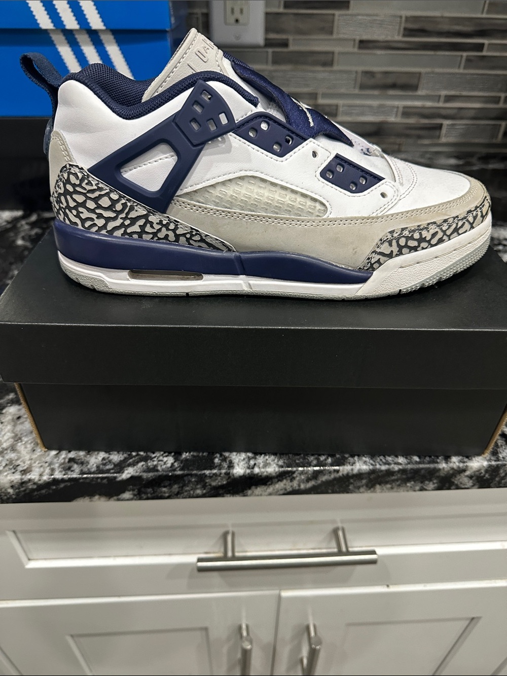 Jordan Spizike Low-Top Sneaker in White and Navy with Logo Detail